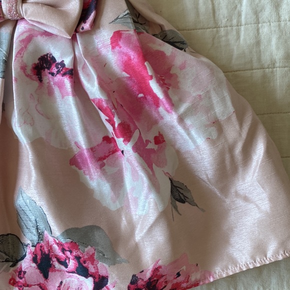 Sweet Heart Rose Floral Pink Sleeveless Dress Size 24 Months - Picture 7 of 11